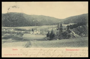 Dorota Walker genealogia genealogy family history Polish German citizenship translations