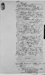 Dorota Walker genealogia genealogy family history Polish German citizenship translations